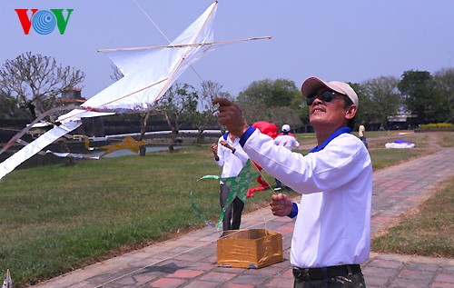 Kites soar over Hue skies - ảnh 13